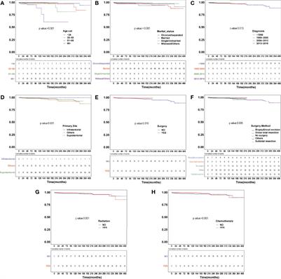 The Risk of Heart Disease-Related Death Among Anaplastic Astrocytoma Patients After Chemotherapy: A SEER Population-Based Analysis